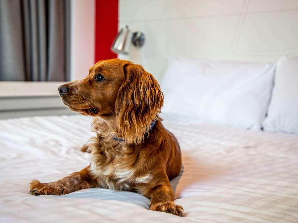 Ibis Styles Glasgow Central Oda fotoğraf