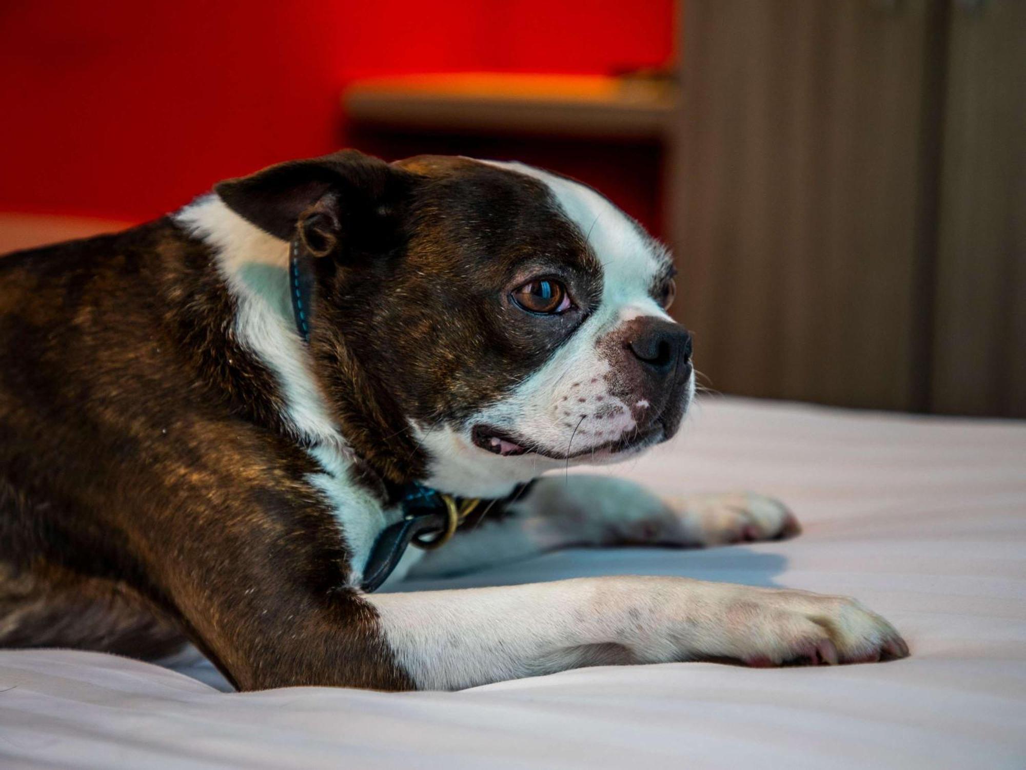 Ibis Styles Glasgow Central Dış mekan fotoğraf