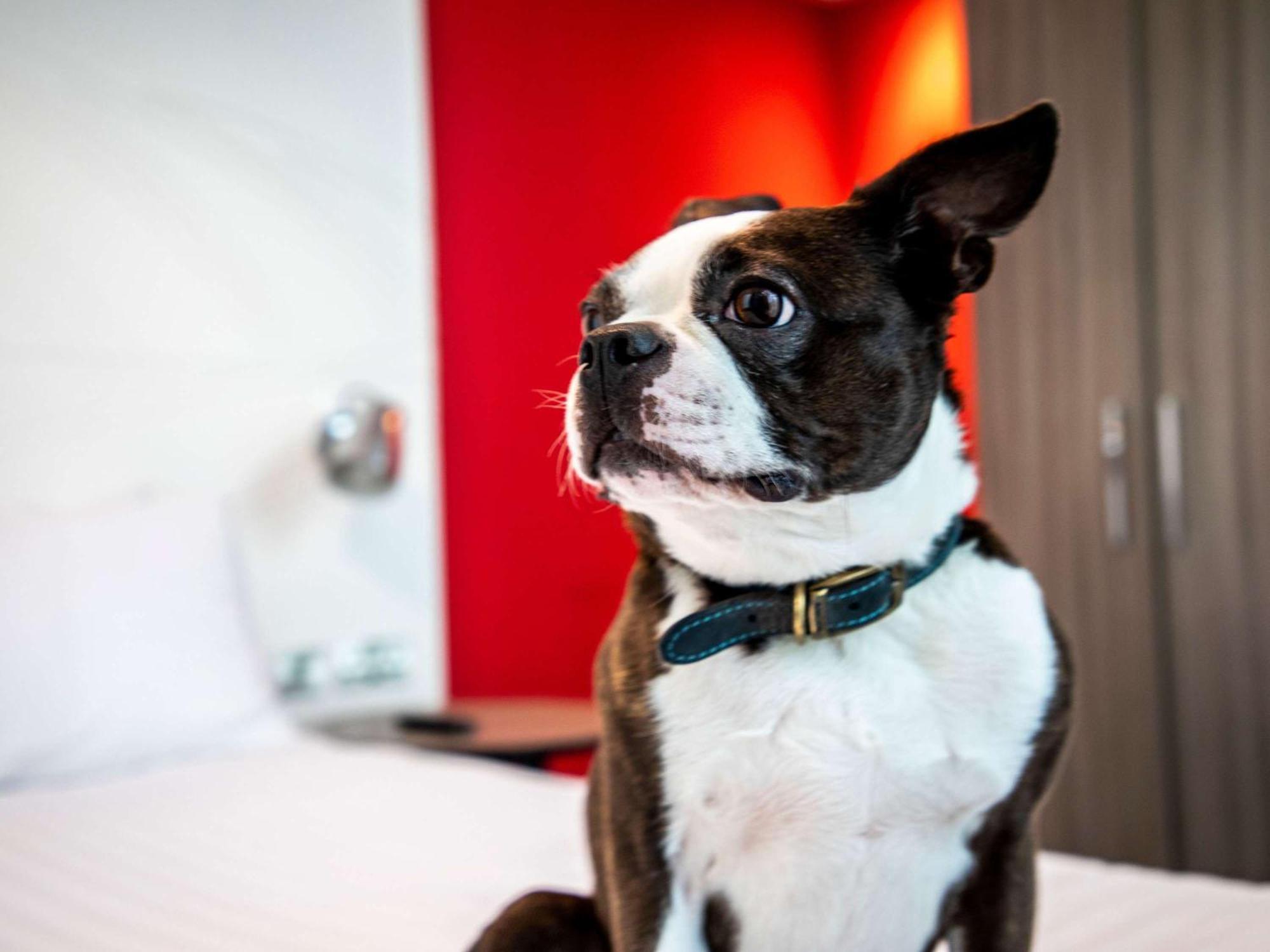 Ibis Styles Glasgow Central Dış mekan fotoğraf